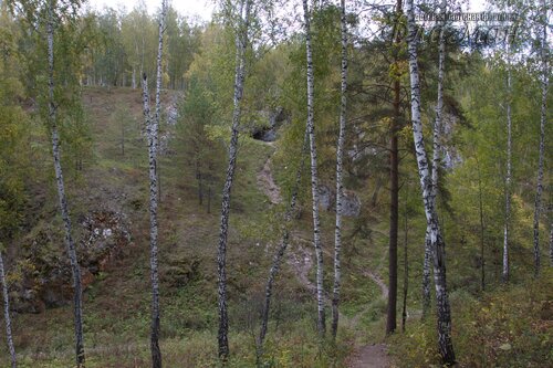 IMG_2811_r